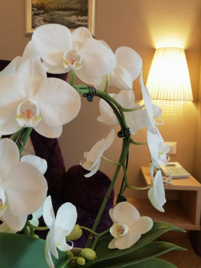 Hotel Tenne Schenna Eksteriør bilde